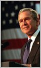 bush